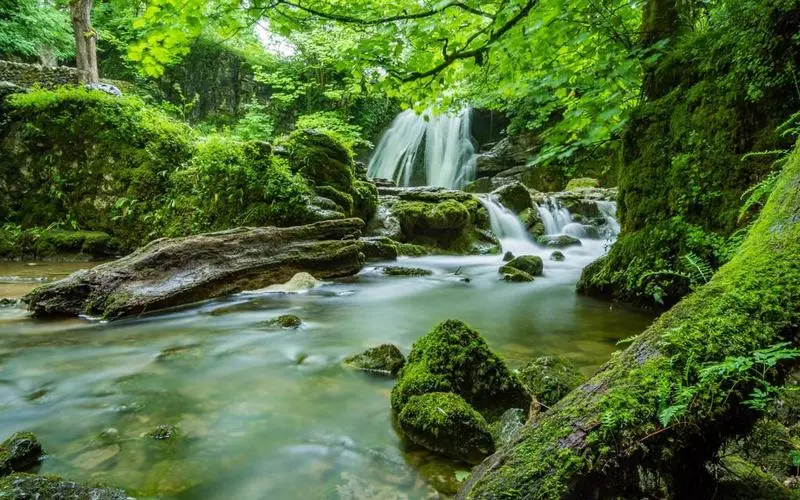 高效高质量智能